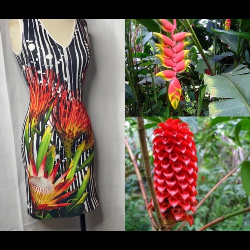 Clover Canyon Bird of Paradise Sheath Dress